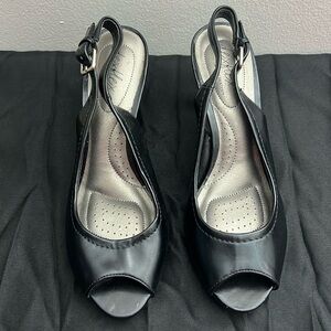 DEXFLEX by DEXTER Pumps